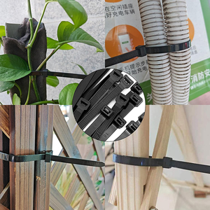 Ydsl สายรัดสำหรับ PA66ขนาด4.8มม. <span class=keywords><strong>12</strong></span><span class=keywords><strong>นิ้ว</strong></span>ได้รับการรับรองจาก CE - Product Image 3