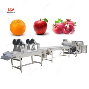 Gelgoog Automatic Bubble Type Fruit Vegetable Cutting Wash Line Passion Fruit Washing Production Line
