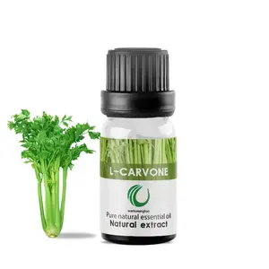 L-carvone (natural) oil 99% CAS NO 99-49-0 with bulk price for food flavor carvone