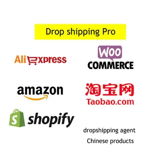 Dropshipping Agente Fulfillment Services Shopify Walmart Tiktok Shop Pedido de comercio electrónico Dropshipping Europa EE. UU. Reino Unido Francia