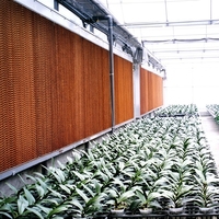 Nouveau type de panneau de refroidissement par évaporation avec épaisseur personnalisable, garantie 1 an pour serres et fermes avicoles
