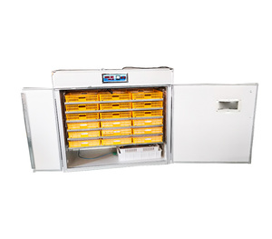 Máy ấp trứng gà và Máy ấp trứng tự động - Product Image 4