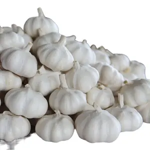 Miglior prezzo aglio di buona qualità aglio fresco bianco puro in vendita nel regno unito