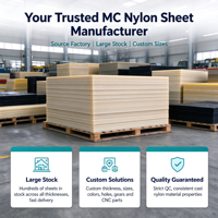 Plaque en polyamide PA6 MC Nylon coulée pour plaques d'usure, garnitures et engrenages usinés CNC avec dimensions personnalisées