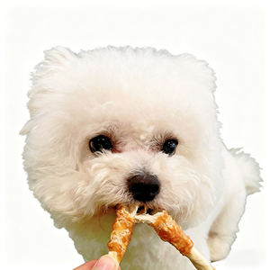 Friandises pour chiens en gros OEM : Rouleaux <span class=keywords><strong>de</strong></span> viande <span class=keywords><strong>de</strong></span> poulet et <span class=keywords><strong>de</strong></span> <span class=keywords><strong>canard</strong></span> enveloppés <span class=keywords><strong>de</strong></span> peau crue, sans céréales, naturels, pour des soins dentaires durables - Product Image 5