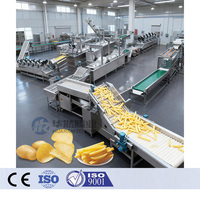 1000kg/uur snelvries productielijn voor frieten, aardappelchips en fruitverwerking, hoge efficiëntie, roestvrij staal, commercieel gebruik