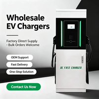 Chargeur rapide CCS2 DC 80kW 120kW 180kW 240kW 320kW pour véhicules électriques en Amérique du Sud, système de charge solaire