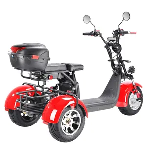 Avrupa depo motor yetişkinler citycoco EEC COC üç tekerlekli elektrikli scooter