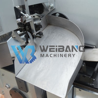 Machine d'emballage automatique WB-600S pour bonbons à la noix de coco, divers bonbons, bonbons aux pruneaux, avec formes régulières, double torsion, granulés