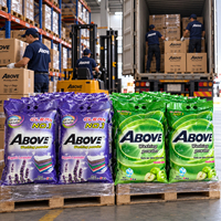 Lessive en poudre OEM 1000g 100g 500g pour le nettoyage des vêtements, lessive de voyage, détergent, savon