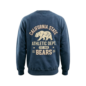 Felpa Oversize da <span class=keywords><strong>Uomo</strong></span> in Corduroy con Stampa Vintage California Bear, Personalizzata con Stampa DTG Kornit, Lavata, Girocollo, Casual, per Autunno - Product Image 3