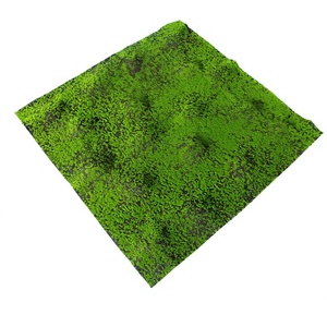 Gazon artificiel en mousse biomimétique pour la décoration de micro-paysages, pelouse, bonsaï, plantes en <span class=keywords><strong>pot</strong></span>, aménagement paysager de surface, décoration intérieure et photographie - Product Image 6