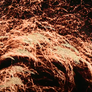 لوحة زجاجية مخصصة بالجملة بتصميم أسد ثلاثي الأبعاد، فن حديث للتعليق على الجدران الأفقية، فن B&C، لوحة مستطيلة للعام الجديد مقاس 40×60-80×120 - Product Image 2