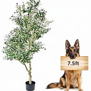 <span class=keywords><strong>Arbre</strong></span> <span class=keywords><strong>d</strong></span>'<span class=keywords><strong>olivier</strong></span> artificiel en pot à <span class=keywords><strong>prix</strong></span> de gros, pas <span class=keywords><strong>d</strong></span>'entretien requis, facile à nettoyer, arbres artificiels <span class=keywords><strong>d</strong></span>'intérieur - Product Image 4