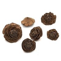Coquilles de clochettes naturelles PKY pour aquarium, cachette pour poissons et crevettes, décoration pour aquarium d'eau noire