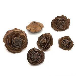 PKY Natural Bell Cup Pods per Acquario, Nascondiglio per Pesci e Gamberetti, Decorazione per Acquario Blackwater - Product Image 2