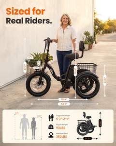 Qlife Triker 2.0 Kostenloser US-Versand Fat Tire 48V 10.4Ah Tiefeinsteiger-Dreirad für Erwachsene US-Lagerbestand Schnelle Lieferung Kostenloser Versand US-Lokalisierung - Product Image 1
