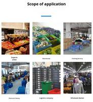 Caisses en plastique PP robustes pour fruits et légumes, recyclables, empilables, ventilées, en maille, conteneurs en plastique pour l'agriculture