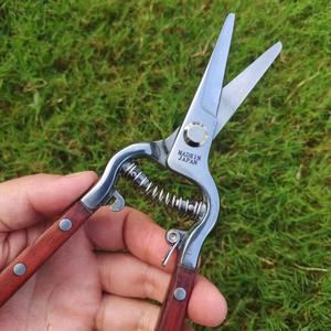 Sécateur de taille Mactek avec poignée en bois de rose et lame en acier inoxydable 20-30 mm pour l'élagage des arbres fruitiers et des jardins - Product Image 3