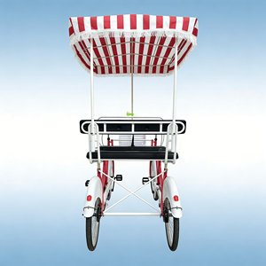 Bicicleta Tándem de Cuatro Ruedas Premium, Segura y Antideslizante para Paseos Turísticos Ecológicos en Parques de Humedales - Product Image 1