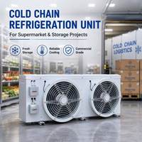 Unité de refroidissement à haute efficacité personnalisée pour la réfrigération commerciale