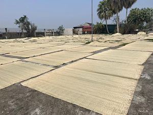 Vietnam Seagrass Sedge <b>Mat</b> House Handicraft Blue Lotus - Product Image 6