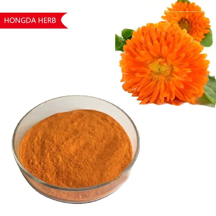 High Quality Marigold Flower Extract 5% Lutein Powder For Eyes Lutein Powder