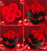 Rose éternelle préservée pour femme, fleur éternelle, vraies roses rouges, cadeau pour anniversaire, fête des mères, Saint-Valentin - Livraison en Chine