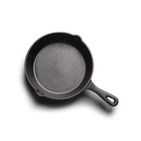 Poêle à frire moderne en fonte, écologique, robuste, avec poignée, compatible four, pour steak, œufs, crêpes