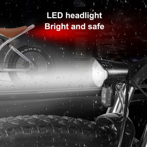 Vélo électrique <span class=keywords><strong>20</strong></span> <span class=keywords><strong>pouces</strong></span> gros pneu 750W 48V 16AH 25AH batterie au lithium en alliage d'aluminium eBike frein à disque hydraulique à 7 vitesses Cafe <span class=keywords><strong>Racer</strong></span> - Product Image 5