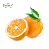 Nieuwe oogst verse citrusvruchten uit China, verse mandarijnen te koop