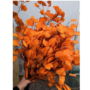 Feuilles d'eucalyptus séchées blanchies, fleurs séchées préservées en boîte, qualité A, durée de vie de 3 à 5 ans, décoration de Noël pour la maison - Product Image 5