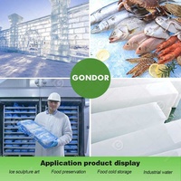 Pas cher Afrique du Sud Turc Commercial En Acier Inoxydable Saumure De Poisson Industrielle Faire Machine De Moule De Bloc De Glace à Vendre