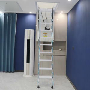 Escalera Telescópica de Acero Aislada Moderna de Fábrica Henzs, Capacidad de Carga de 300 kg, Altura Extendida de 10 pies, Ángulo de Inclinación de 45 Grados - Product Image 5