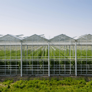 โครงการโรงเรือนกระจกเวนโลขนาดเล็กแบบหลายช่วง Skyplant SK-GH-500 พร้อมบริการครบวงจร ทนทานต่อแรงลม 130-140 กม./ชม. ผลิตในประเทศจีน - Product Image 4