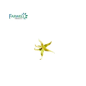 Farwell天然精油依兰依兰精油