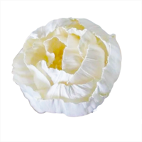 Diffuseur de parfum en roseau de haute qualité de 6 cm, 8 cm, 11 cm avec corde en coton, grande fleur en bois de sola naturel blanc
