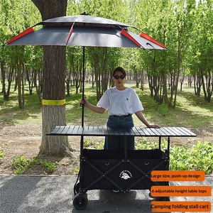 Meistverkaufter Leichtgewichtiger Kleiner Klappbarer Lift-Up Tischwagen Camping-Einkaufstrolley Faltbarer Gartenwagen - Product Image 1