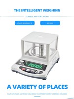 Balance de haute précision pour produits explosifs Balance de poids électronique Balance analytique de laboratoire numérique avec pare-brise