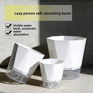 Bac en plastique de taille gallon pour plantes auto-arrosantes sans eau : Pothos, roses, orchidées de balcon et succulentes - Product Image 2