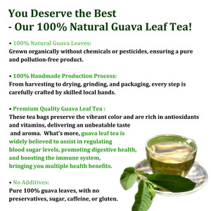 Thé aux feuilles de goyave, sachets de thé, contrôle de la glycémie, gestion du poids, biologique, tisane, thé sans caféine, antioxydants - Product Image 3