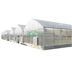 Commercial agriculture greenhouse of Polycarbonate Sheet material