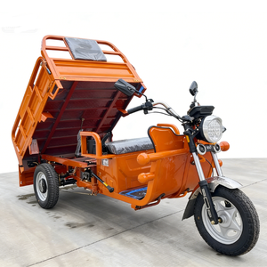 Chargeur de batterie personnalisé 60V grande capacité 1000W pour <span class=keywords><strong>tricycle</strong></span> <span class=keywords><strong>électrique</strong></span> à trois roues avec moteur central et boîte de chargement pour adultes - Product Image 2