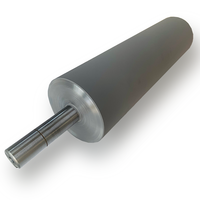 Rouleaux de convoyeur à gravité en acier revêtu de carbure de tungstène sur mesure, robustes
