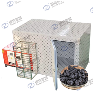 Séchoir industriel haute capacité pour transformer les myrtilles fraîches en fruits secs - Product Image 1
