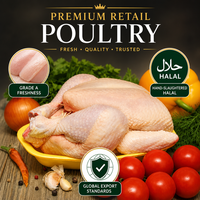 Poulet entier congelé halal de qualité supérieure, abattu à la main, nettoyé et désossé, pour la vente au détail et la vente en gros