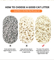 JINFENG Litière pour chat écologique, hautement absorbante, agglomérante rapide, faible poussière, contrôle des odeurs, antibactérienne, à base végétale, jetable aux toilettes, sans poussière