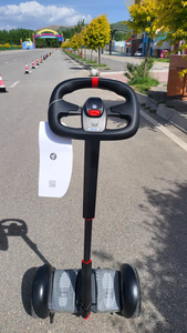 Patinete Eléctrico Original Autoequilibrado S de Doble Motor de Alta Calidad para Niños y Adultos en Venta - Product Image 1