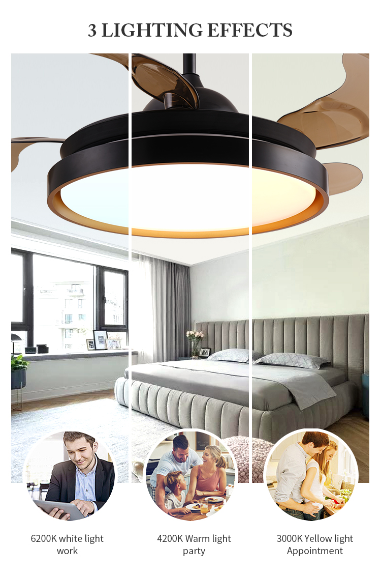 Decorative ceiling fan light