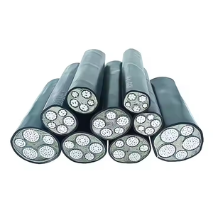 Cable de alimentación de cobre sin oxígeno 99.99% 3 + 1 Core funda XLPE 2,5/16/25mm certificado ISO para equipos de minería - Product Image 2